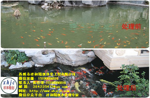 景觀魚池生物過濾系統